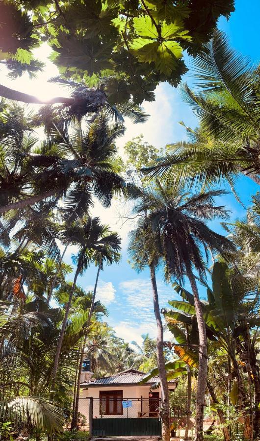 White Heaven Villa Unawatuna Dış mekan fotoğraf