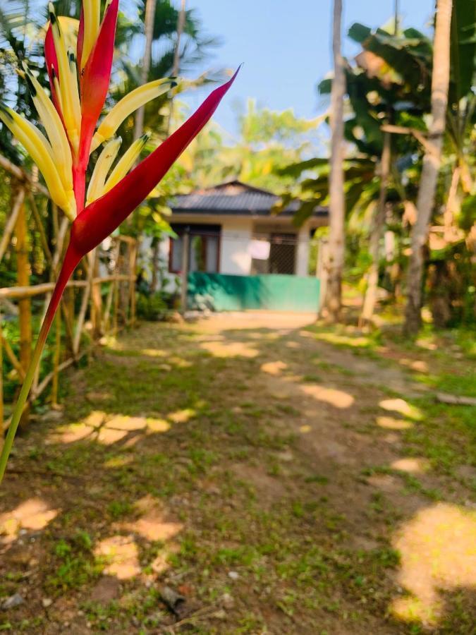 White Heaven Villa Unawatuna Dış mekan fotoğraf